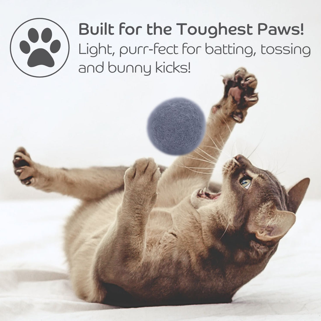 Claw-some Felt Wool Balls (Set of 5)