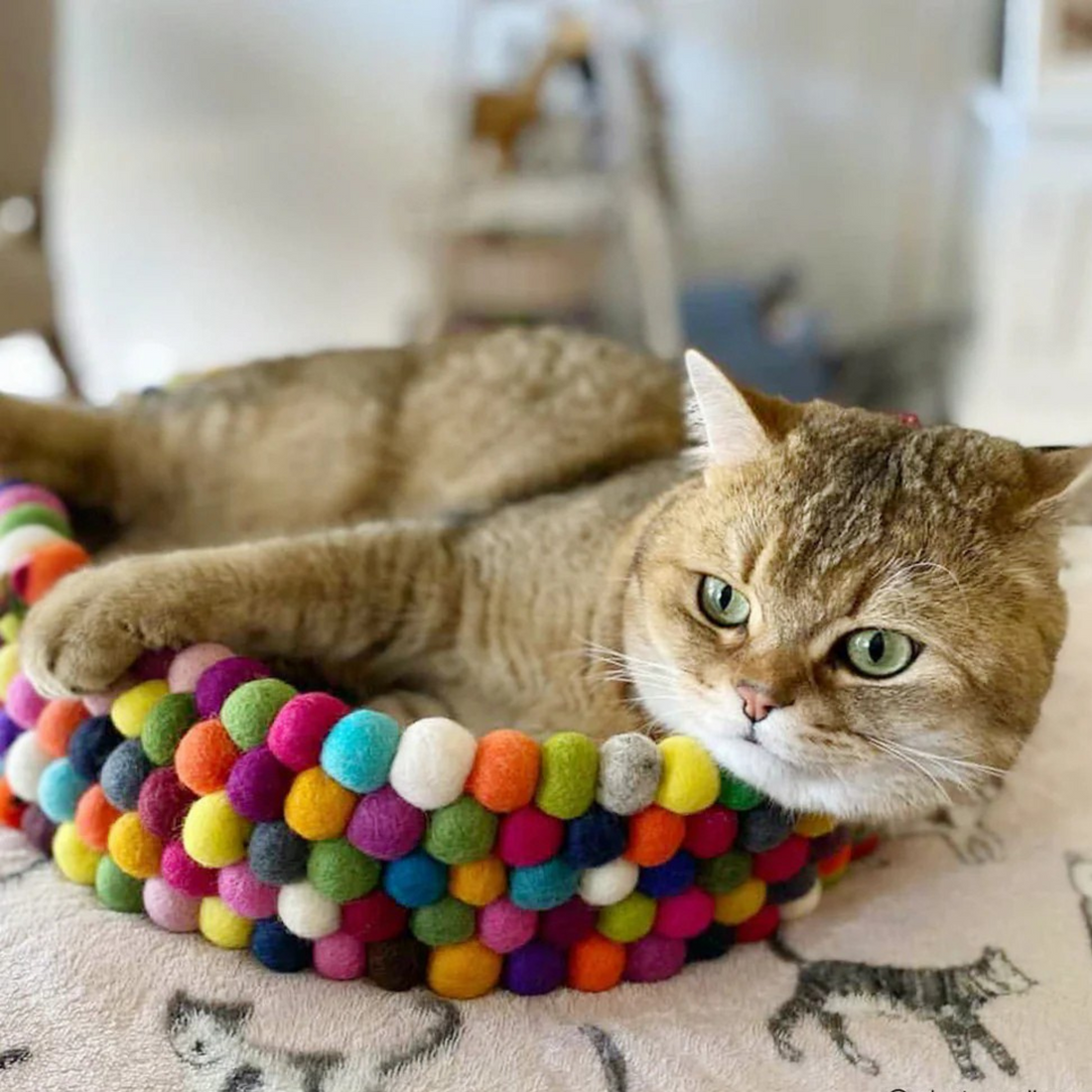 Handmade Felt Ball Cat Bed Round Wool Basket - Multicolour