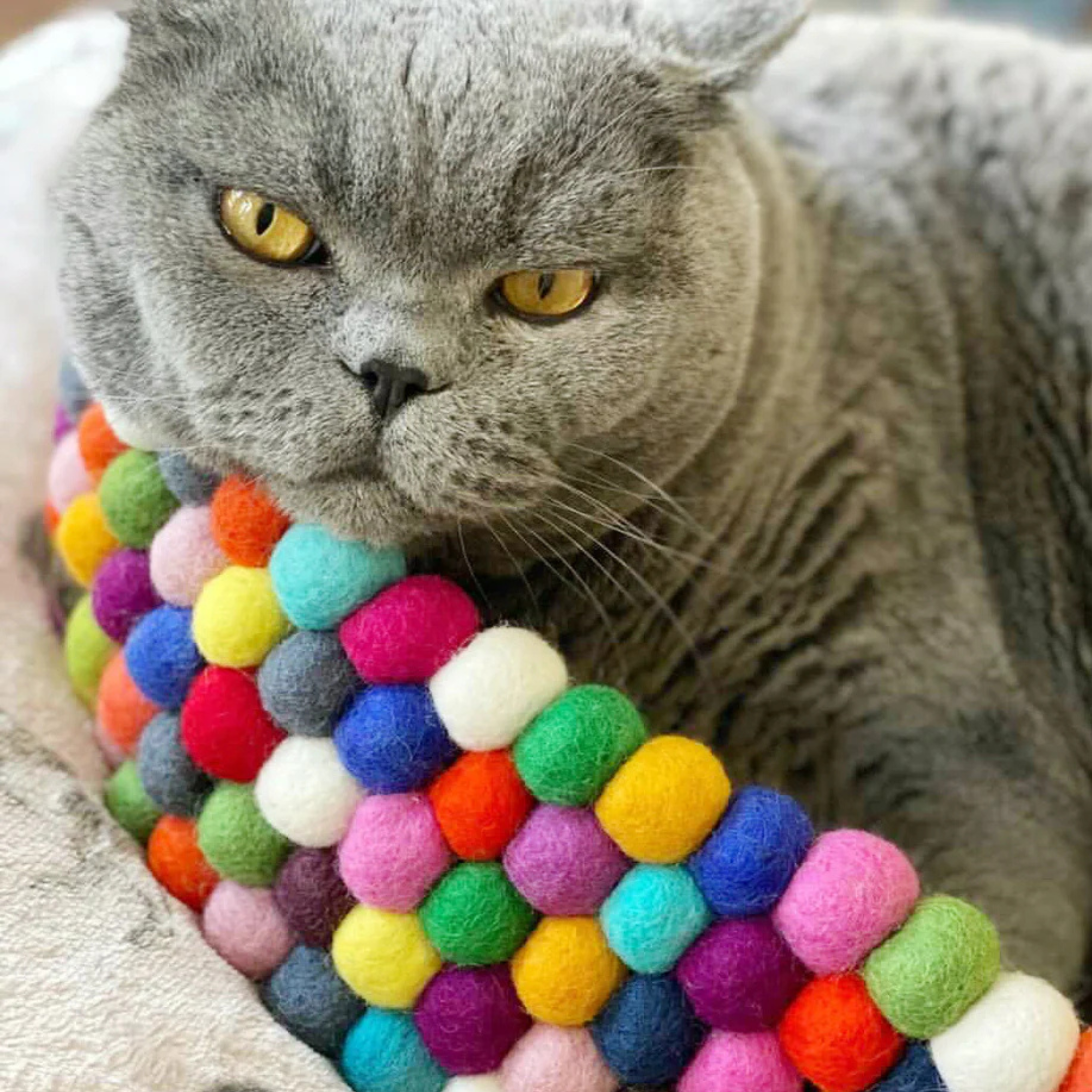 Handmade Felt Ball Cat Bed Round Wool Basket - Multicolour