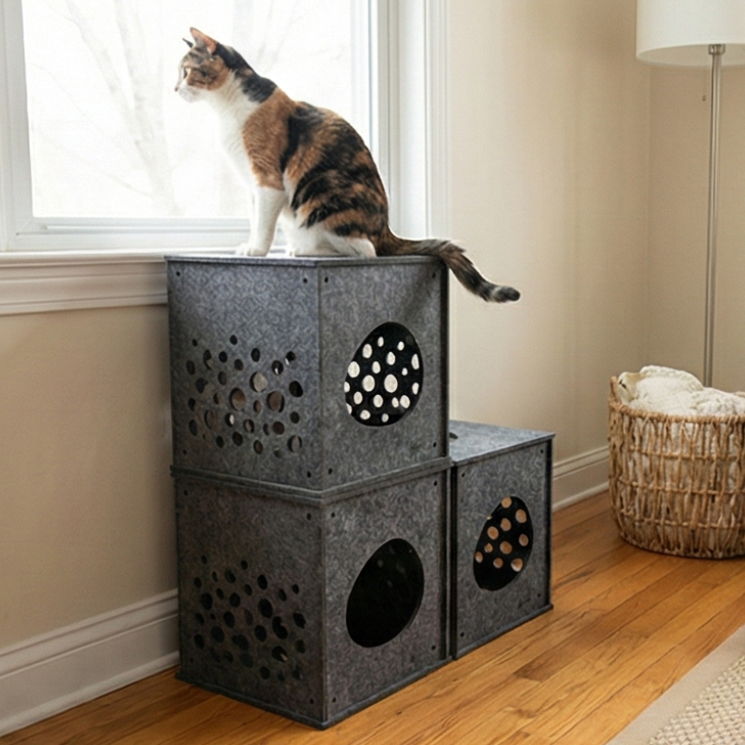 Cat sitting on a multi-level cat cube tower in a living room.