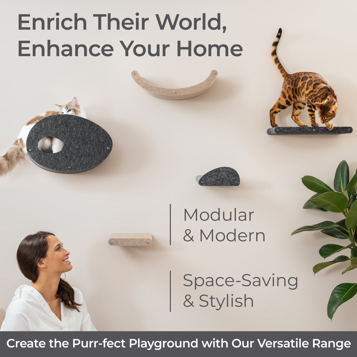 Set of 4 Charcoal Cat Climbers