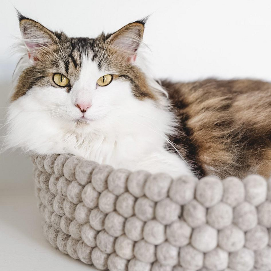 Handmade Felt Ball Cat Bed Round Wool Basket - Grey