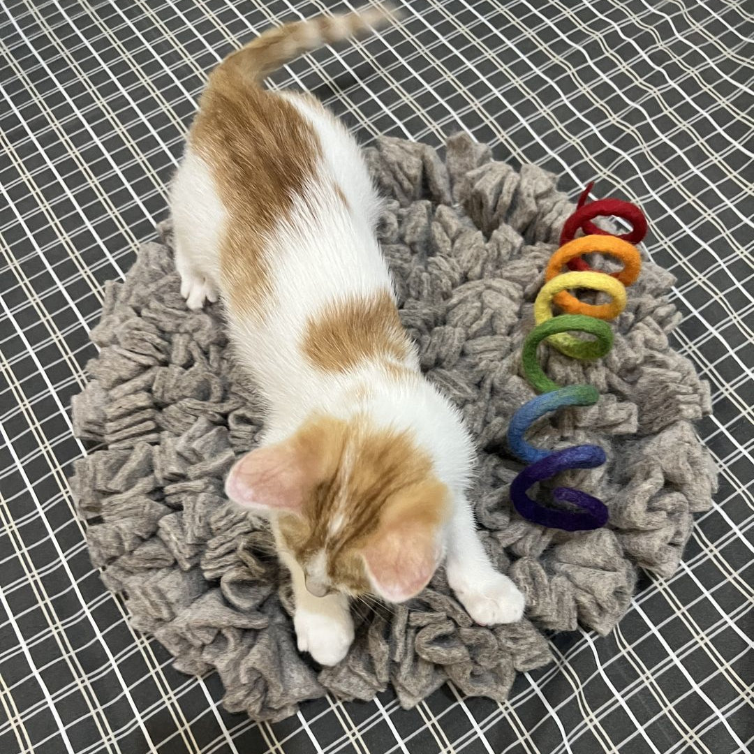 Felt Snuffle Mat for Cats