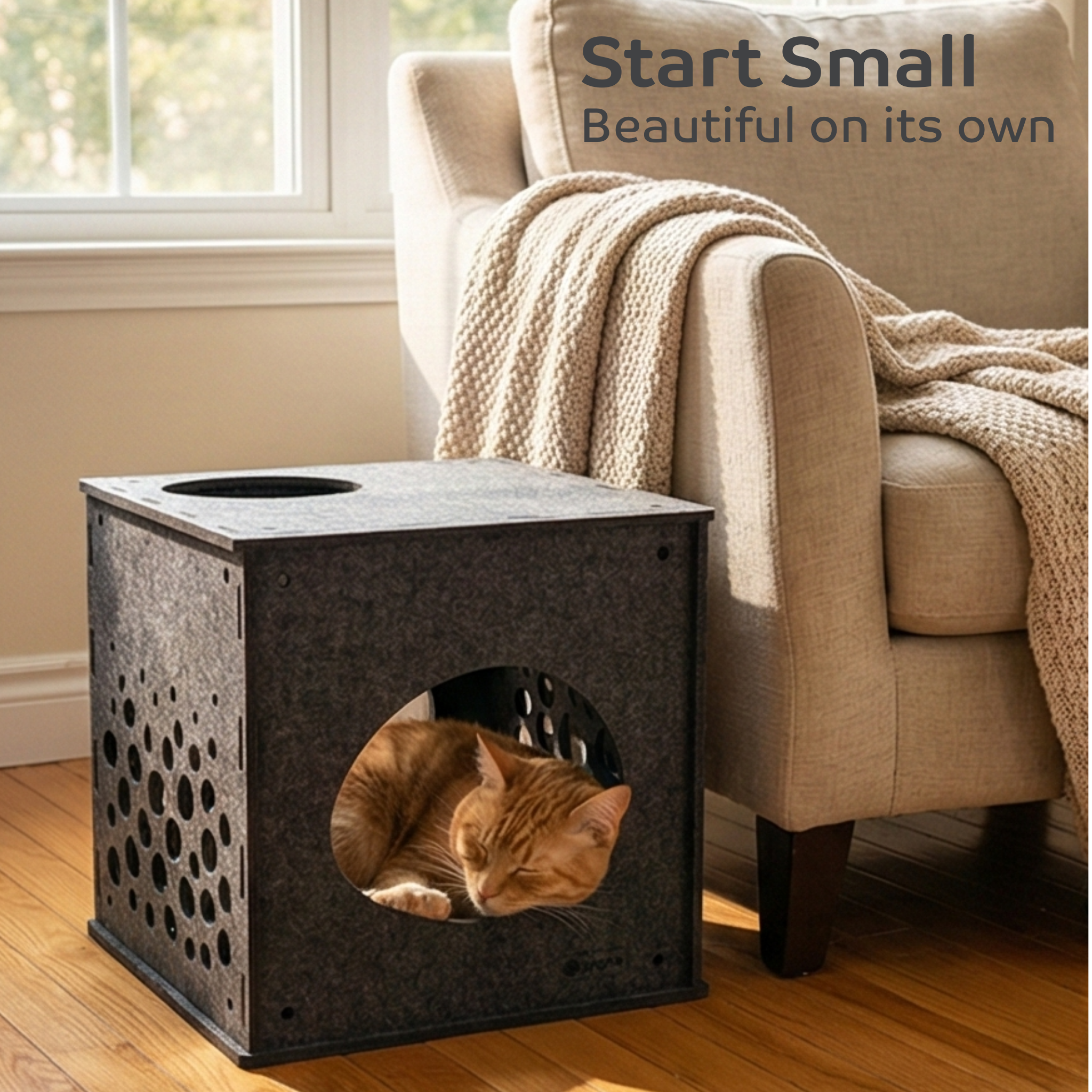 Charcoal Cat Cube