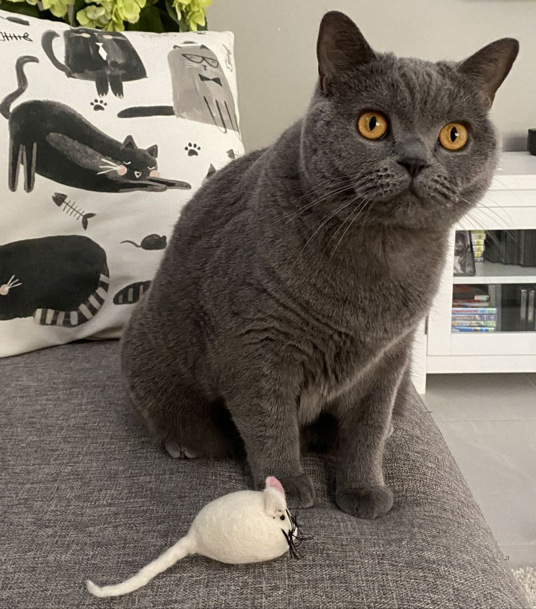 Handmade Felt Mouse Toy - White