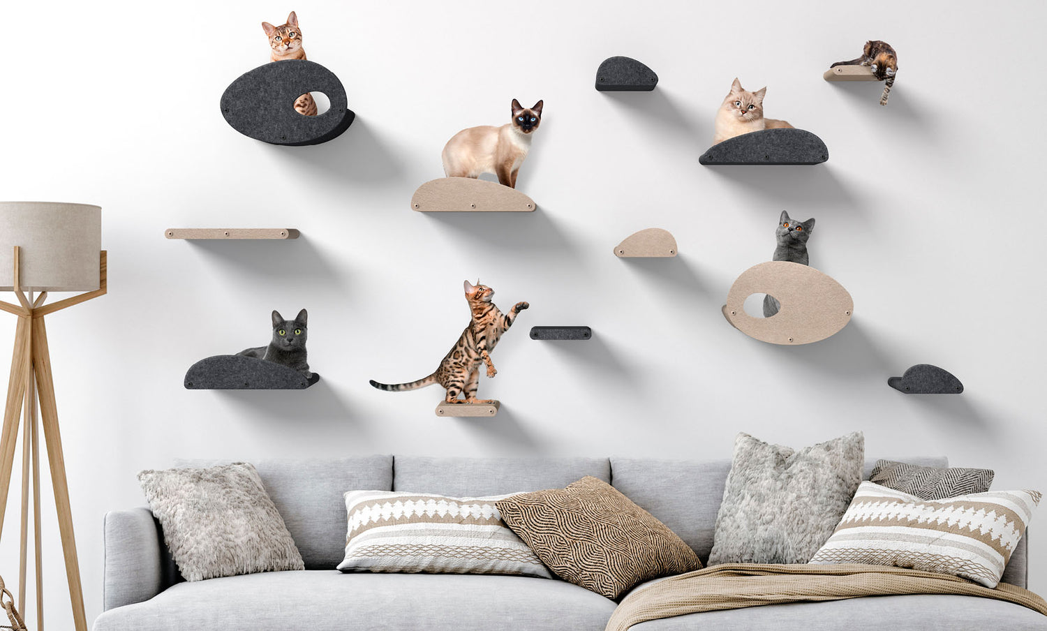 MODULAR BY DESIGN! Tailored for Cats, Designed by You!