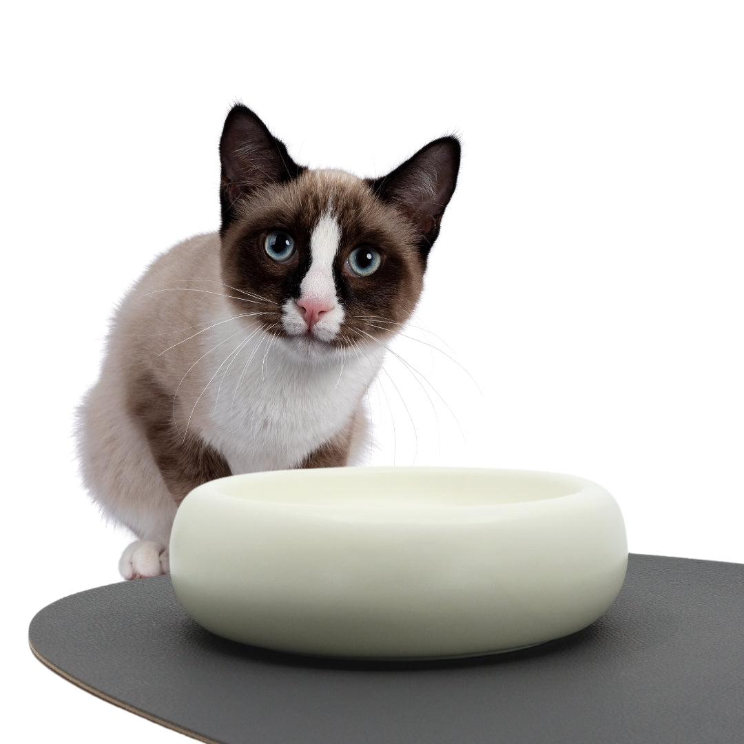 Ceramic Dining Bowl