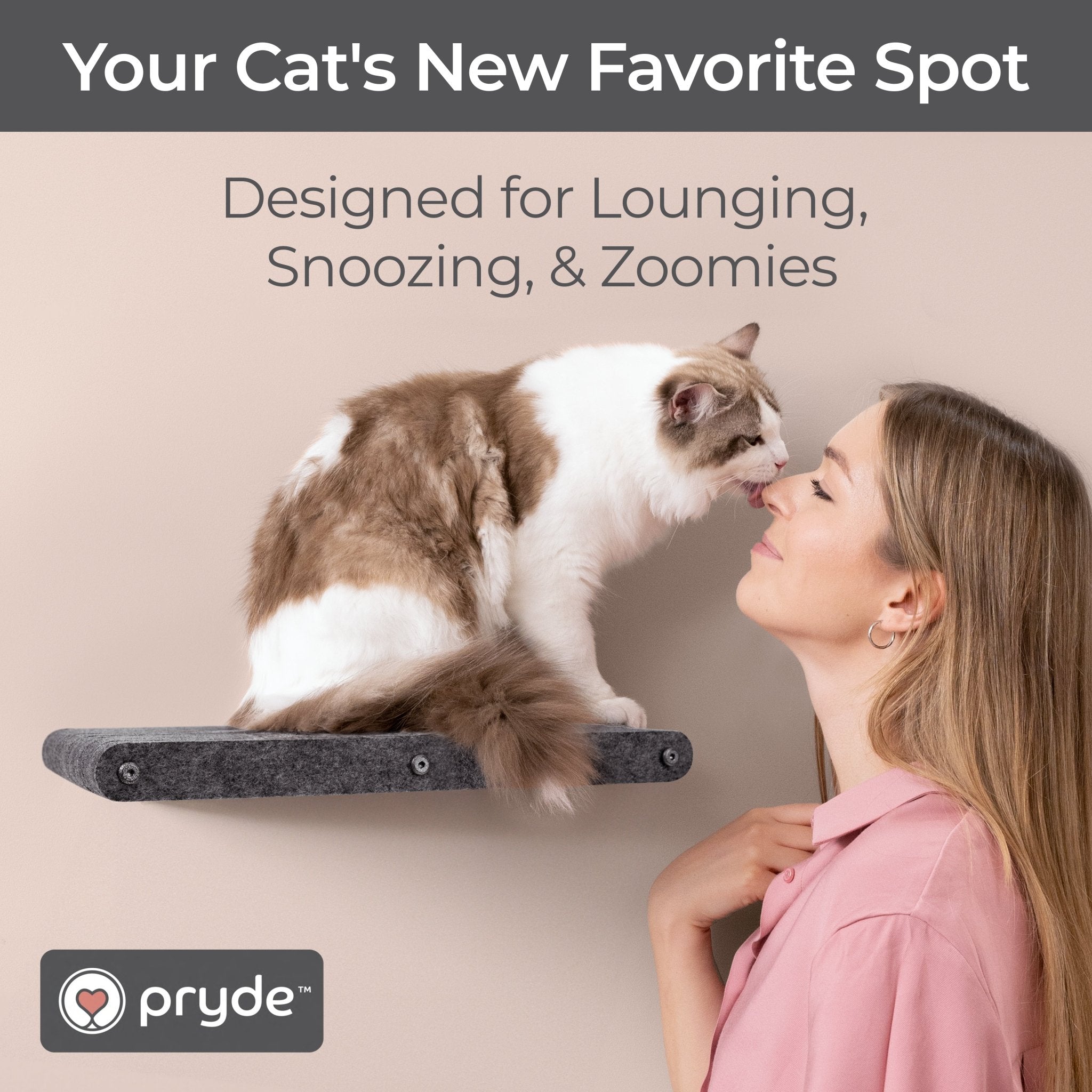 Charcoal Long Lounger Cat Climber