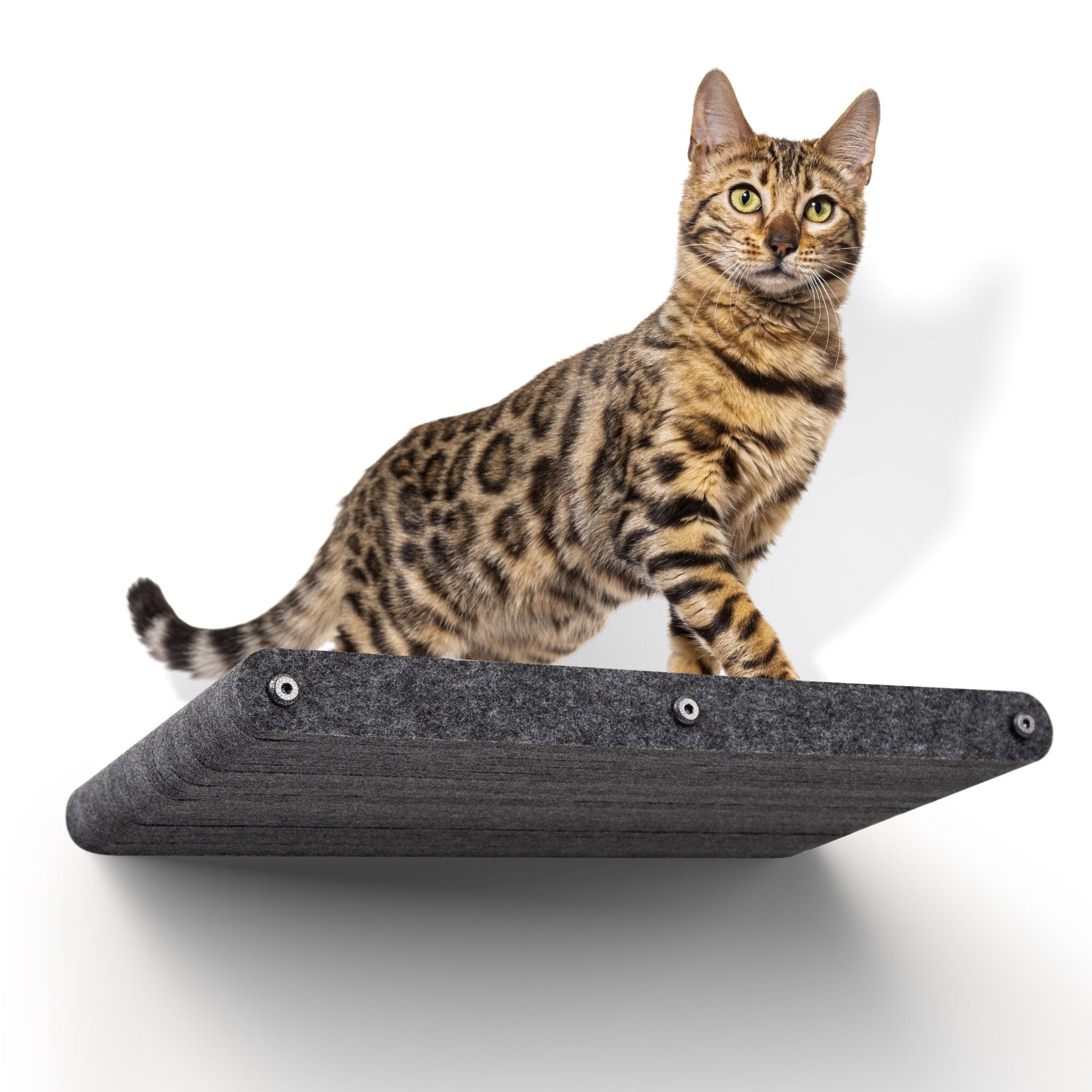 Charcoal Long Lounger Cat Climber