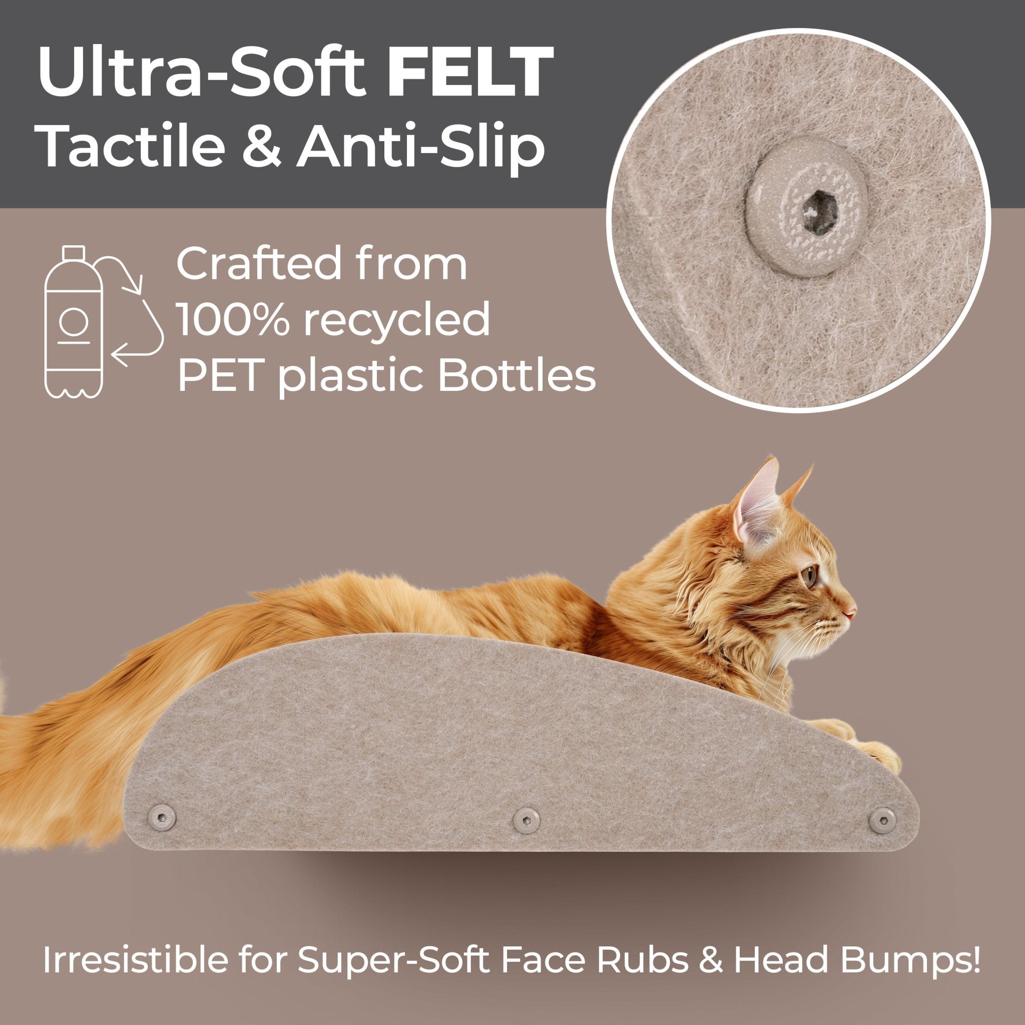 Oatmeal Long Lounger Cat Climber Facade Add-On