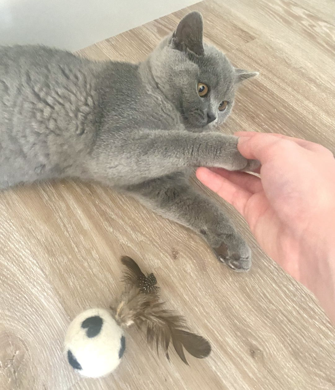 Handmade Feather Felt Balls – Wild Heart Swatters (Set of 3)