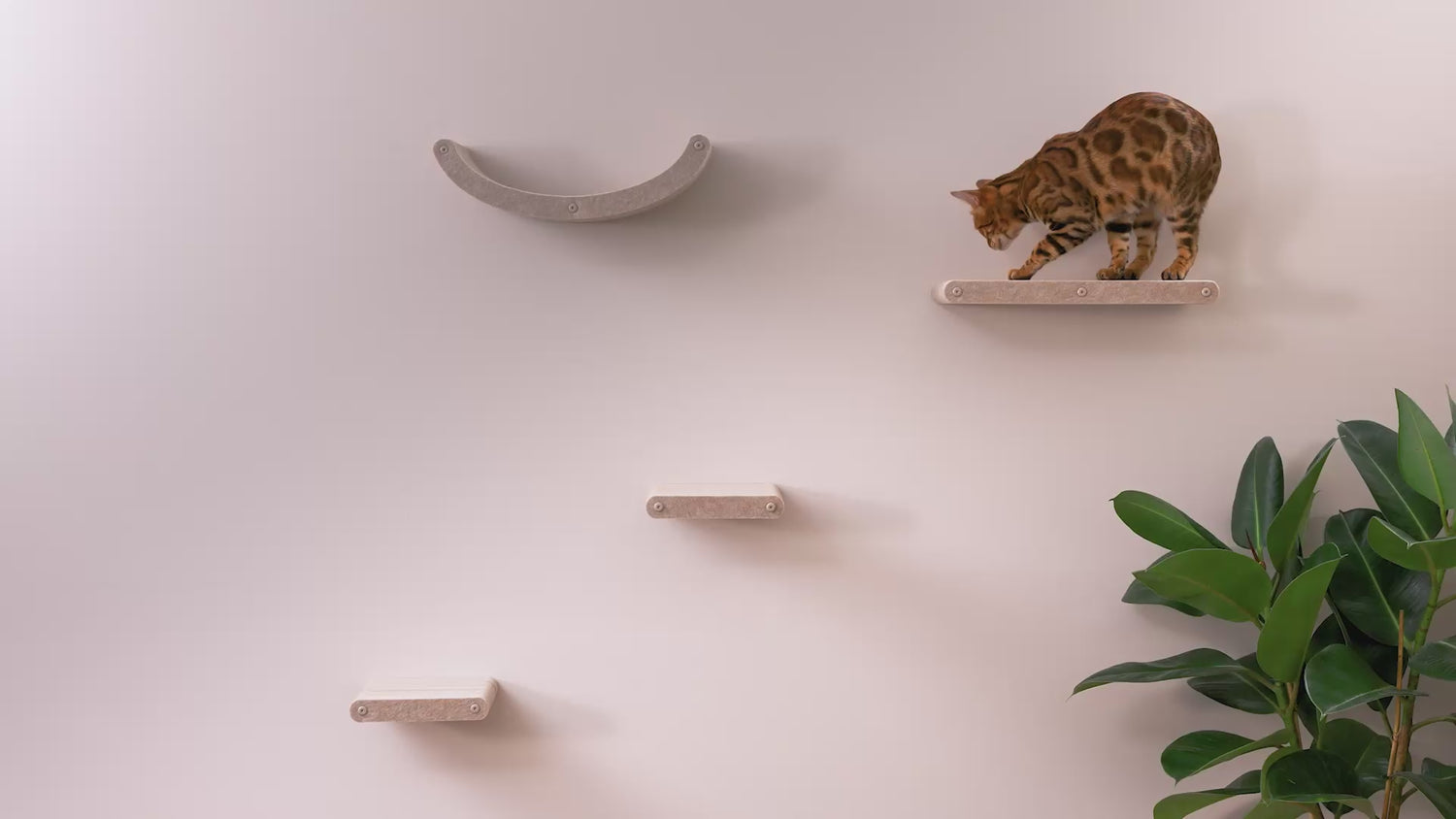 Charcoal Curved Nest Cat Climber