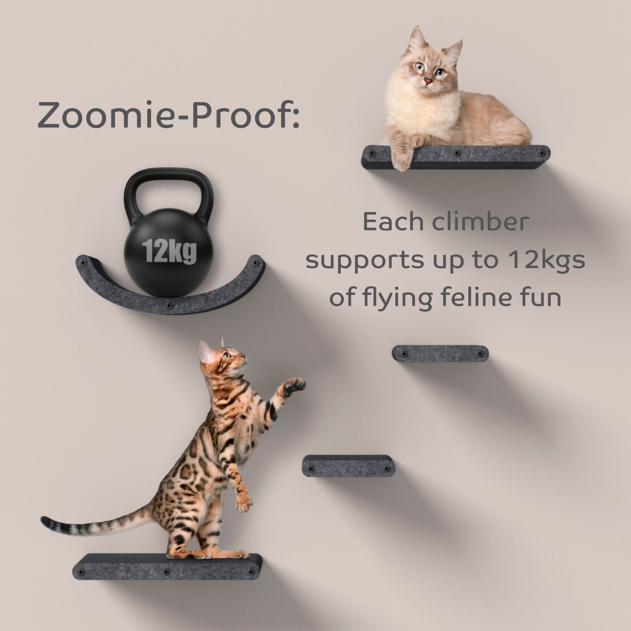 Wall Meow - nted Cat Climbers (Charcoal) - Set of 4 Shelves - Pryde Pets | prydepets.com.au