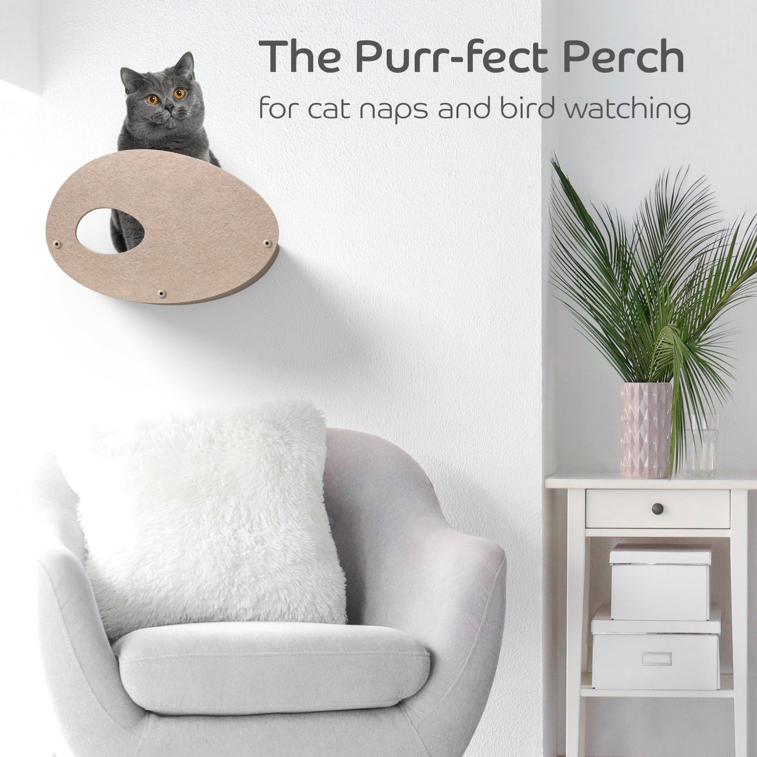 Curved Oatmeal Cat Climber with Facade - Pryde Pets | prydepets.com.au