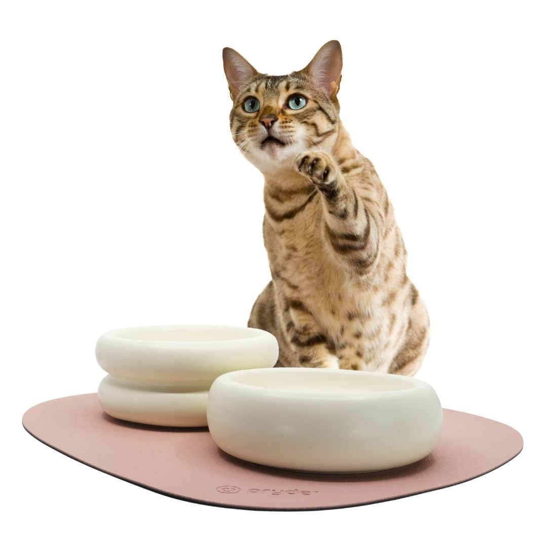 Complete Dining Set with Reversible Blush & Charcoal Dining Mat - Pryde Pets