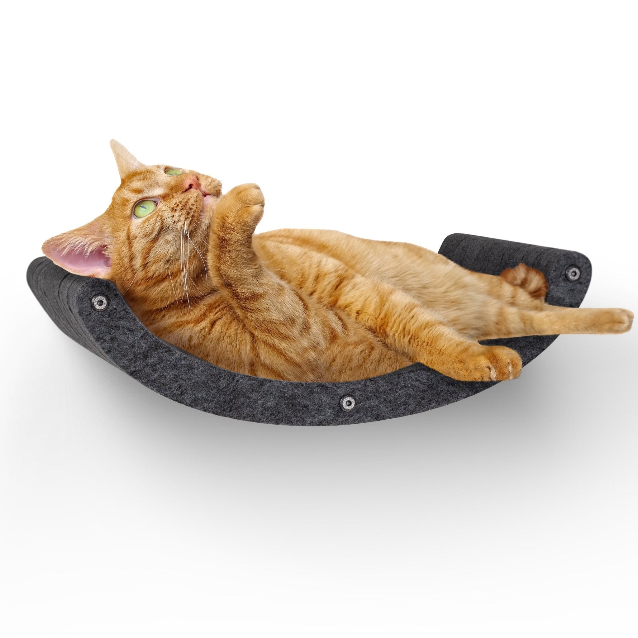 Charcoal Curved Nest Cat Climber - Pryde Pets