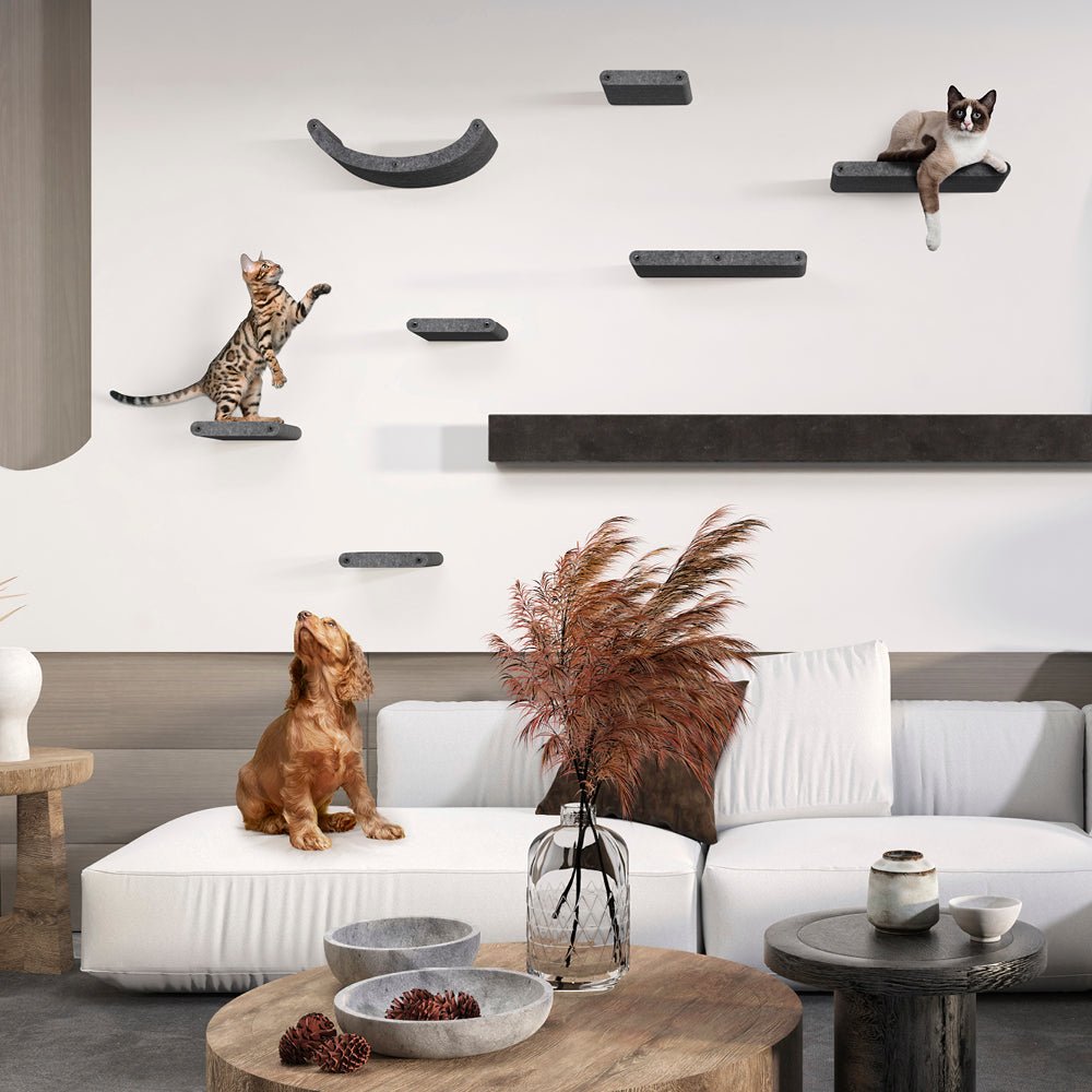 2 x Short Charcoal - Individual Cat Climber Shelves - Pryde Pets