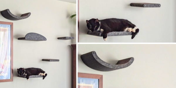 Cat Climber Floor to Ceiling: Best Picks for Maximum Space Saving