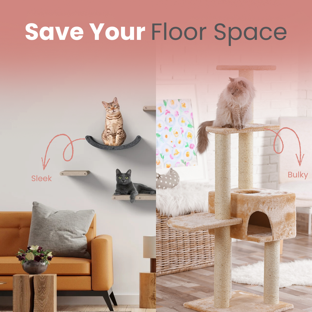 Cat Trees vs Cat Shelves