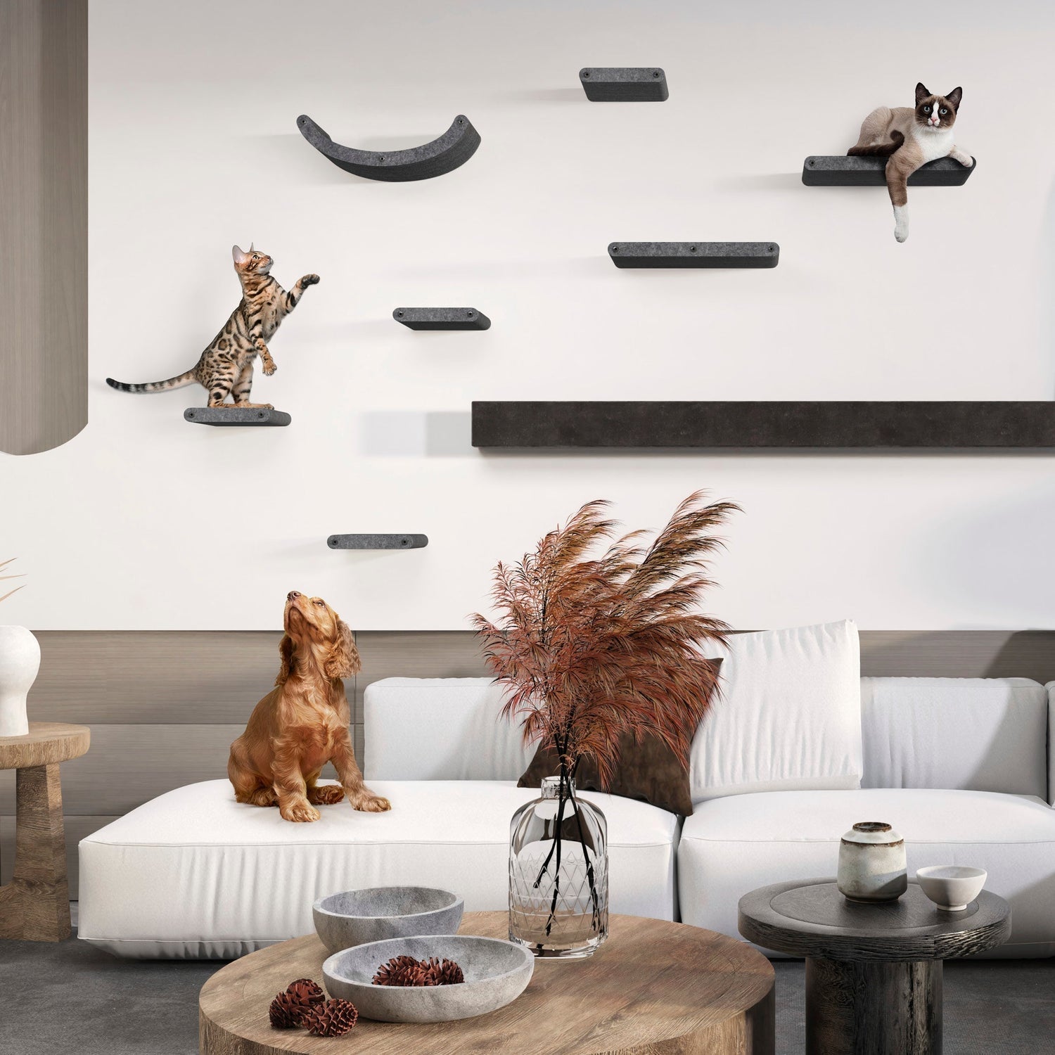 Everything You Need to Know About Cat Climbing Structures in 2025