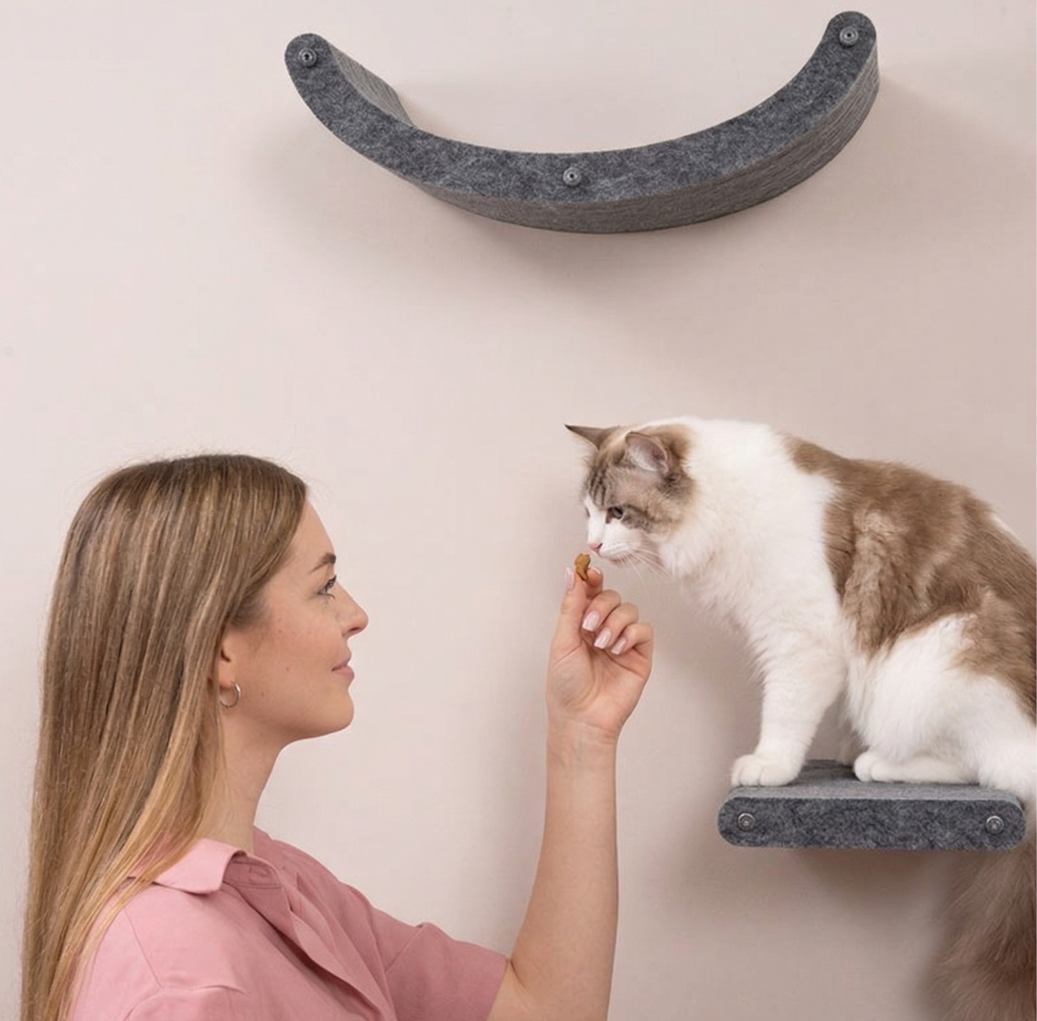 The Best Cat Treats in Australia: Why Freeze-Dried Is in a League of Its Own