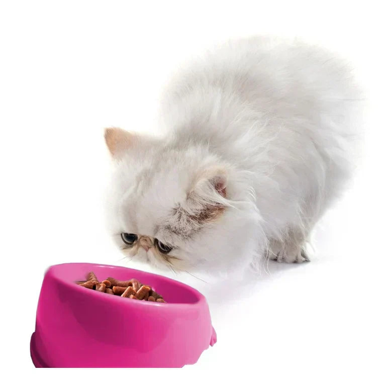 Plastic? Purr-lease. Your Cat Deserves Better.