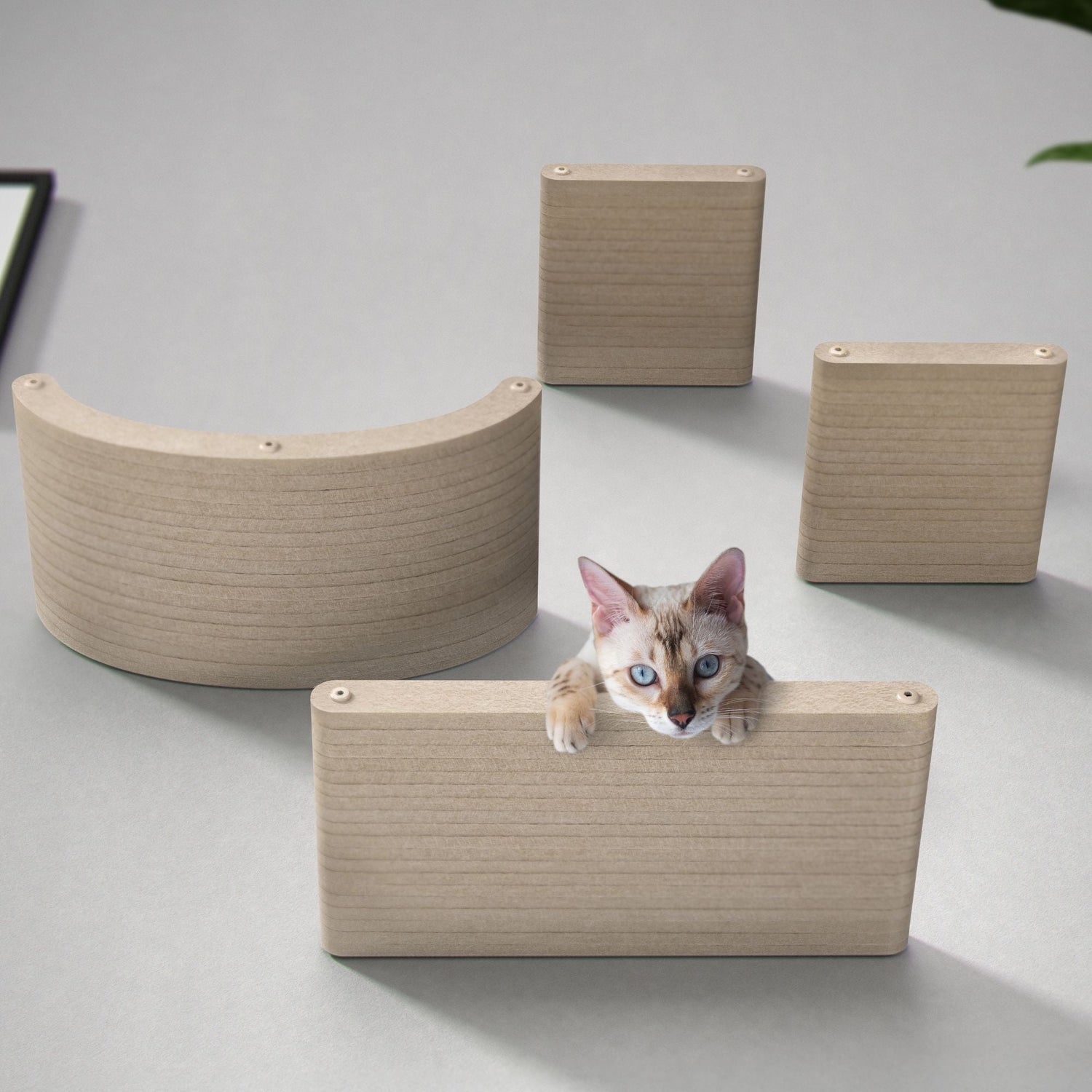 Cat Climber Shelves