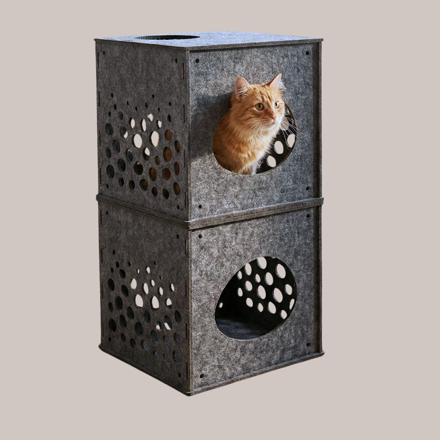 Cat Cubes