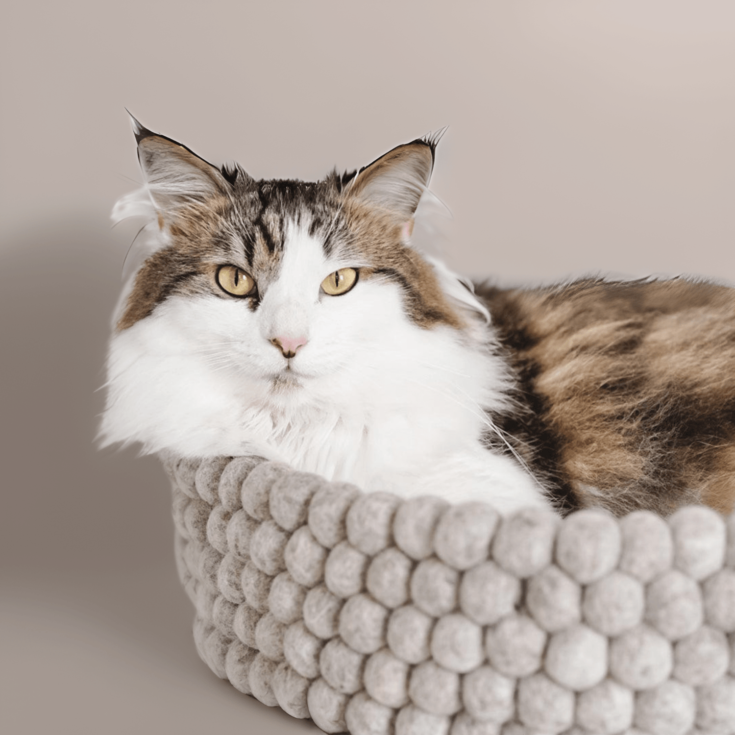 Bedding - Pryde Pets