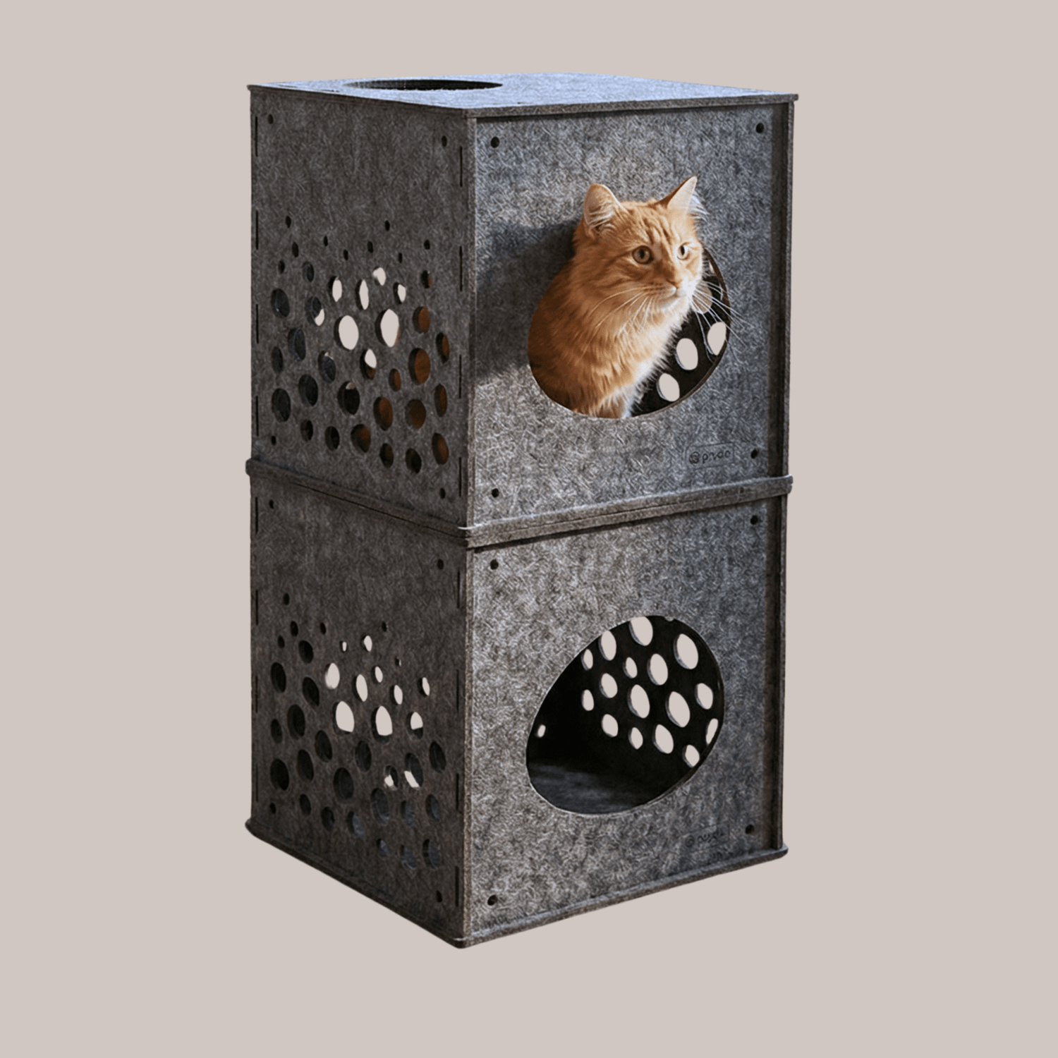 Cat Cubes - Pryde Pets