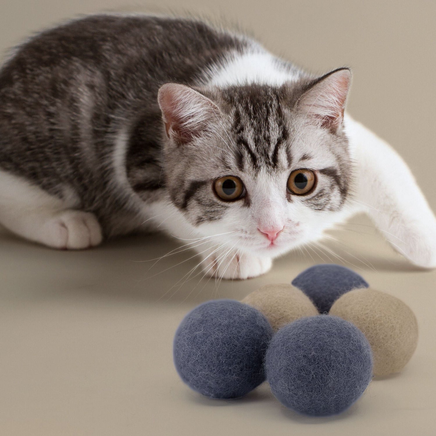 Toys &amp; Accessories - Pryde Pets