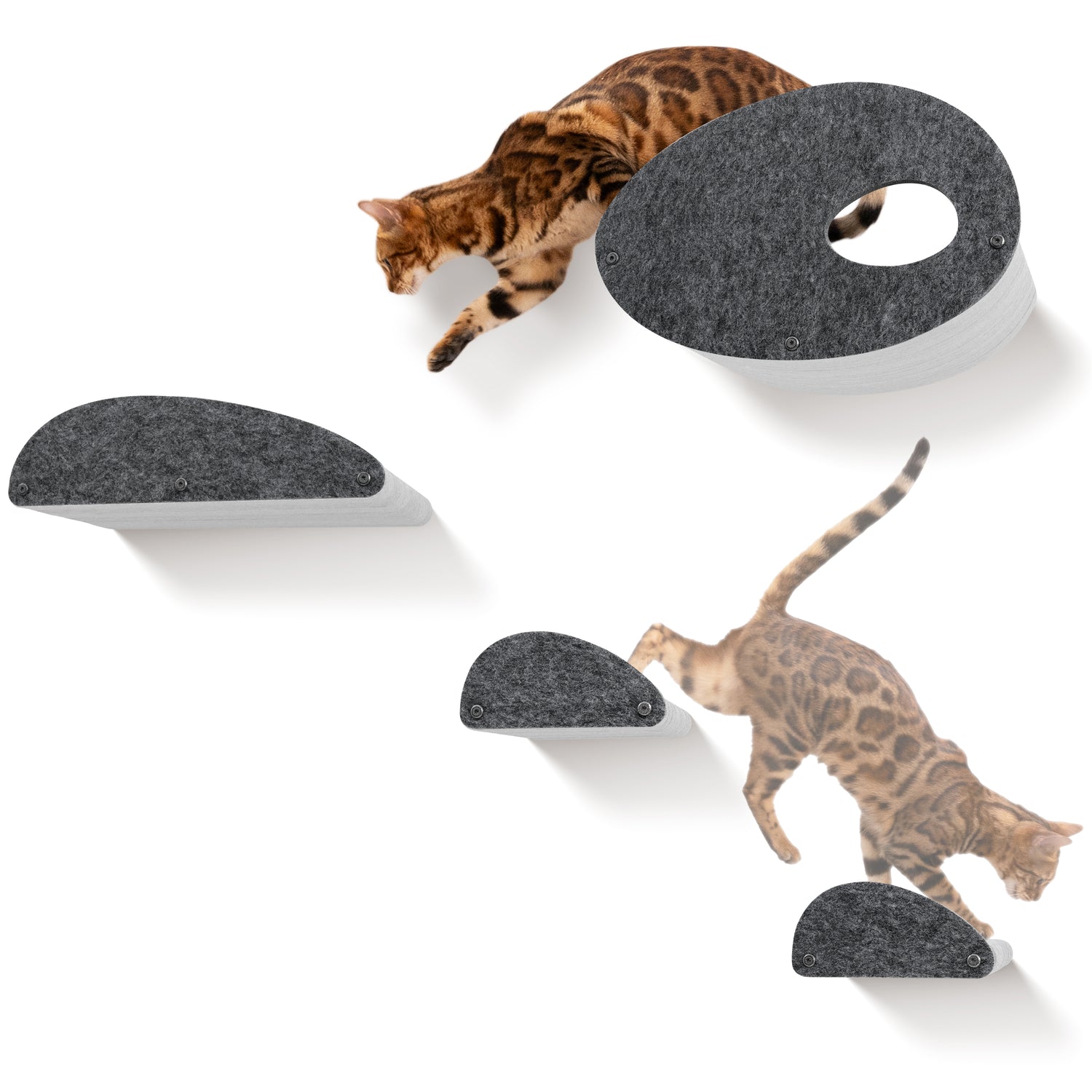 Set of 4 Charcoal Cat Climber Facade Add-Ons