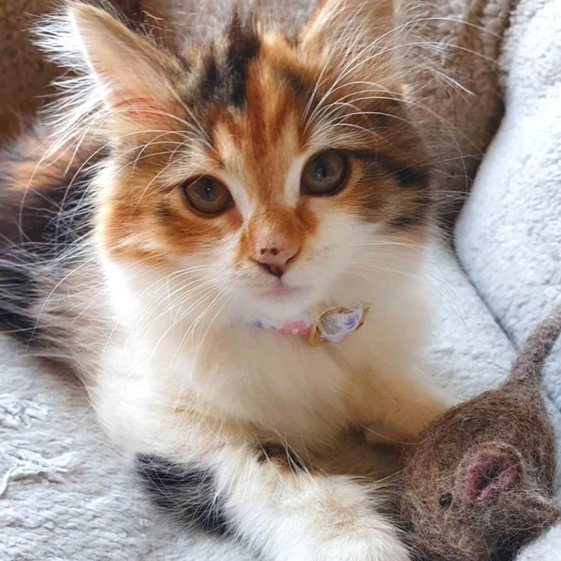 Felt Mouse Toy - Brown