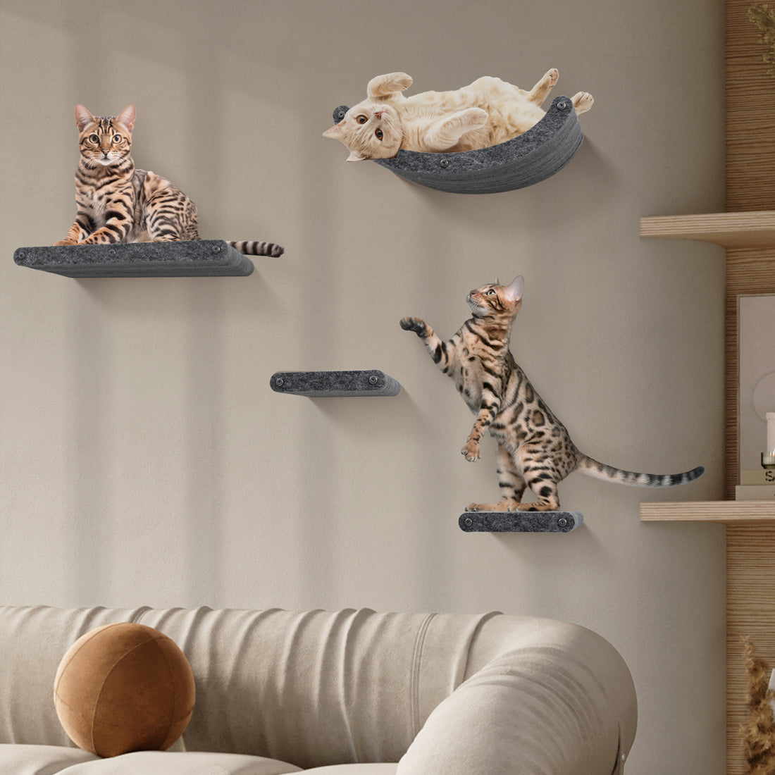 Wall Meow-nted Cat Climbers (Charcoal) - Set of 4 Shelves