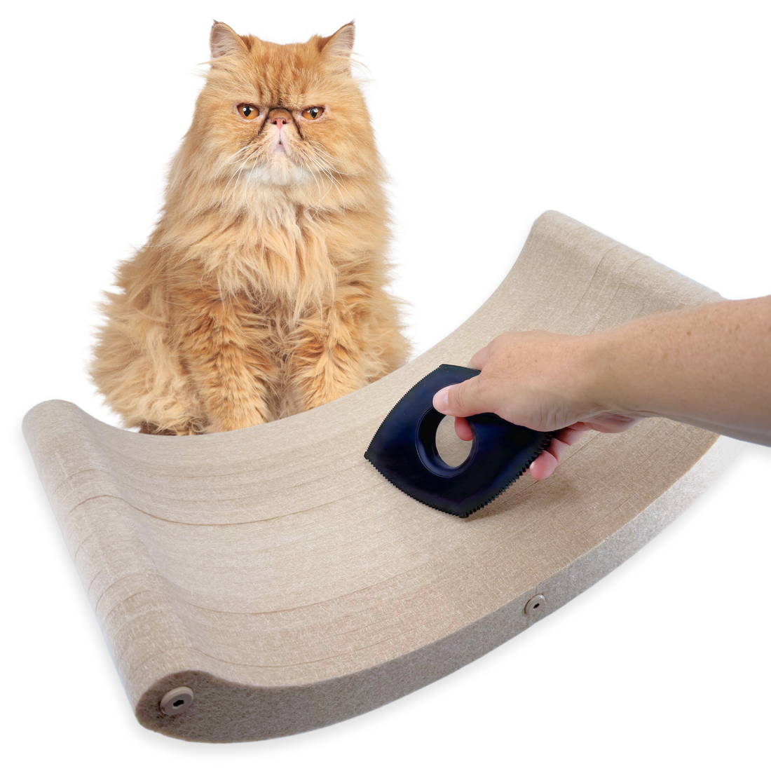 The Fur-nomenal Fur Remover