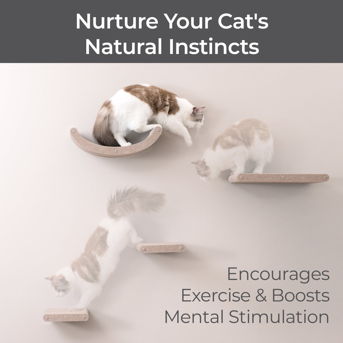 Set of 4 Oatmeal Cat Climbers