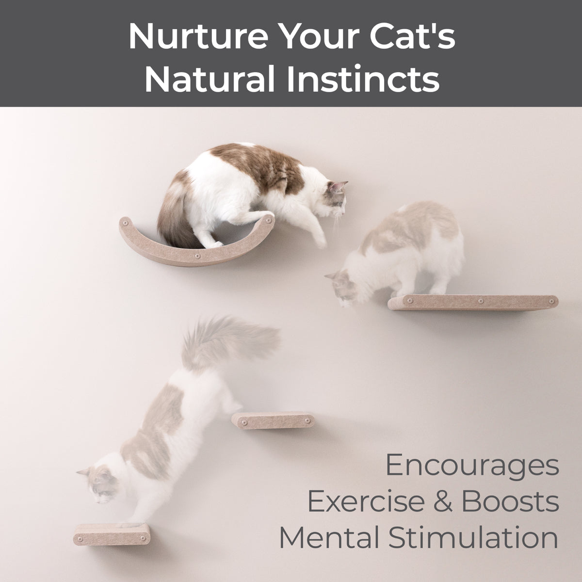 Wall Meow-nted Cat Climbers (Oatmeal) - Set of 4 Shelves