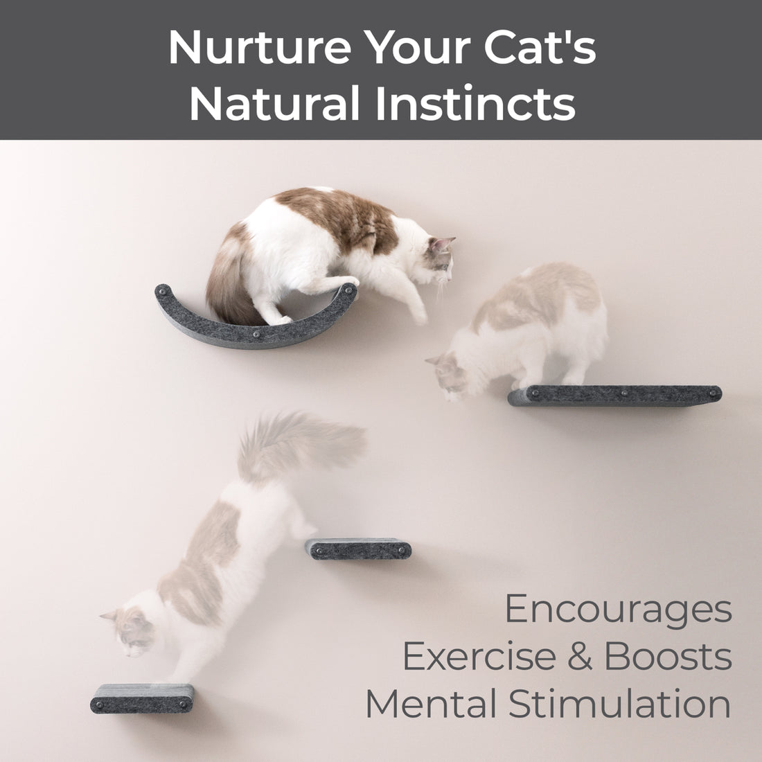 Set of 4 Charcoal Cat Climbers