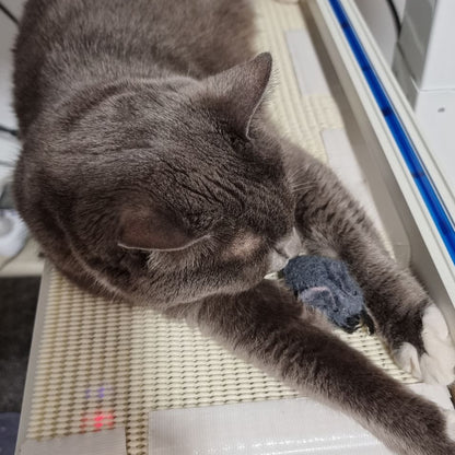 Felt Mouse Toy - Grey