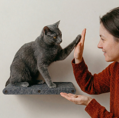 Freeze Dried Chicken Hearts (50g)