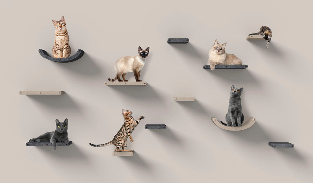 Collections Pryde Pets