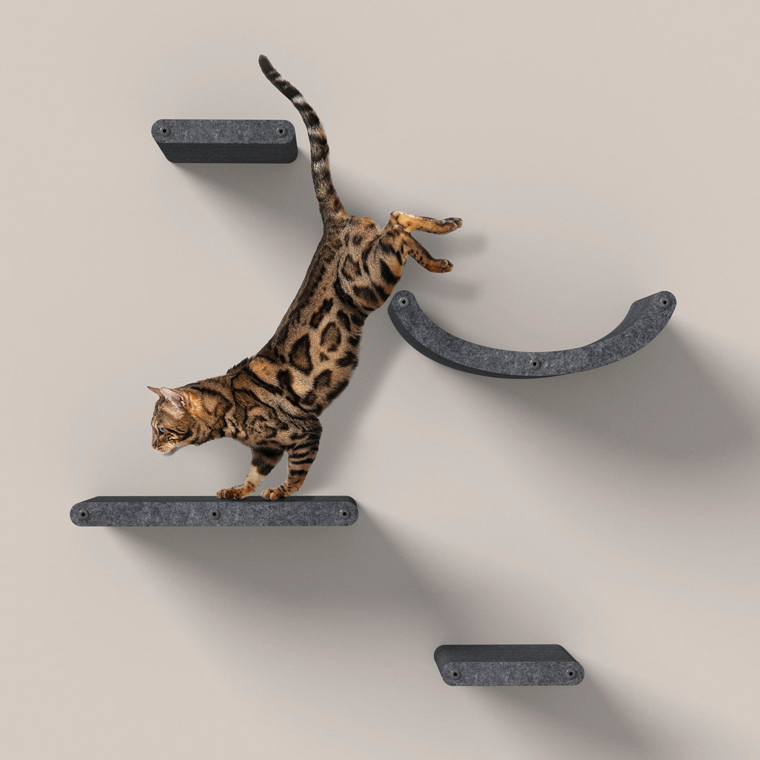 Wall Meow-nted Cat Climbers (Charcoal) - Set of 4 Shelves