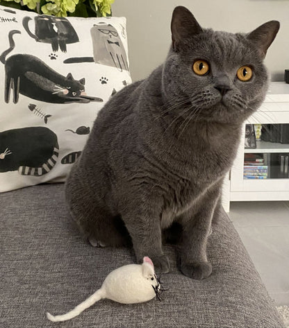 Felt Mouse Toy - White