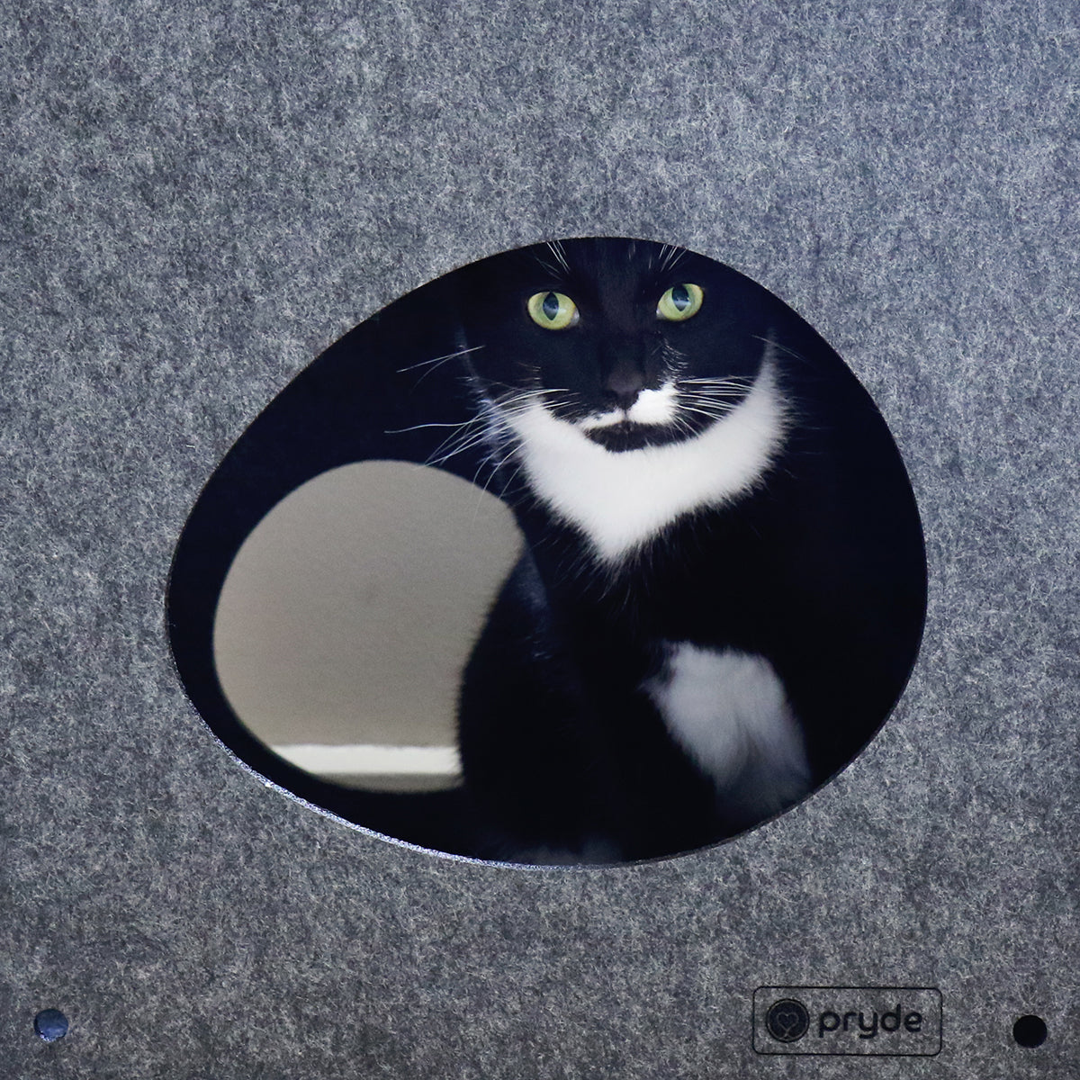 Modular Cat Cube (Charcoal)