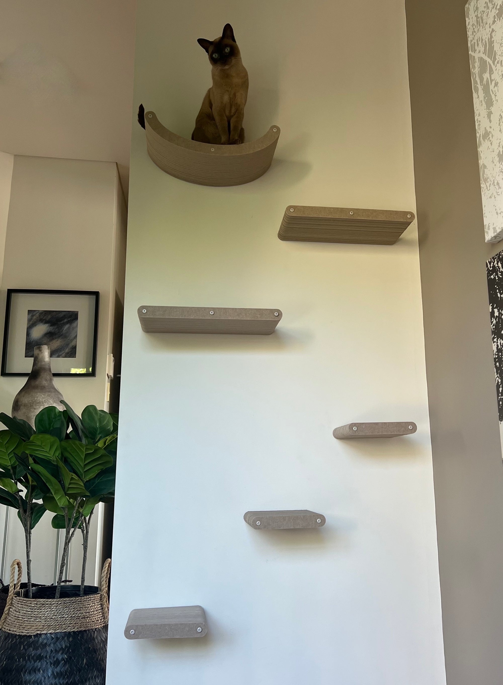 Product Gallery Pryde Pets