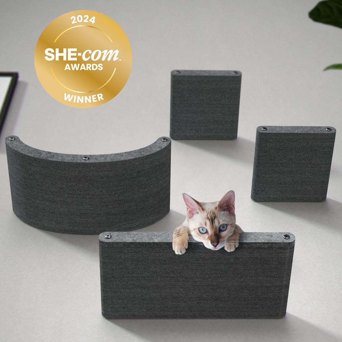 Set of 4 Charcoal Cat Climbers