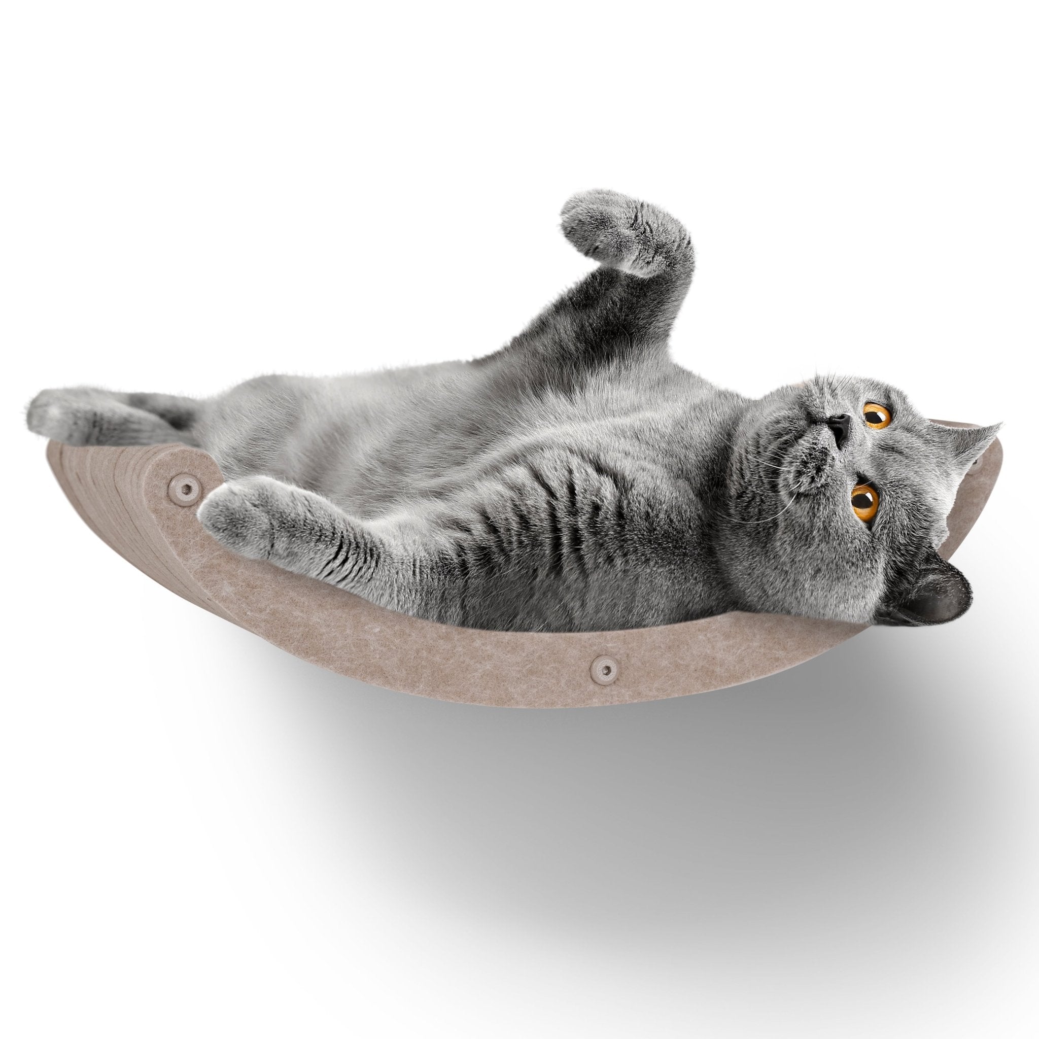 Curved Oatmeal - Individual Cat Climber Shelf