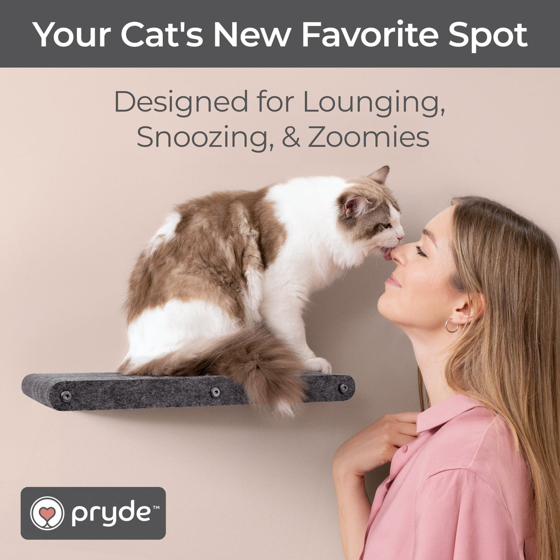 Charcoal Long Lounger Cat Climber