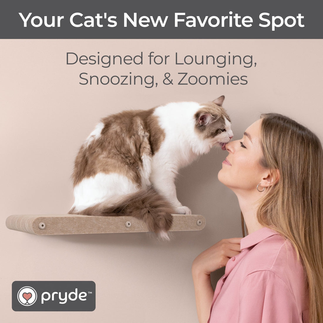 Oatmeal Long Lounger Cat Climber