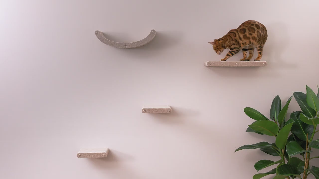 Load video: Introducing Pryde Pets Wall Mounted Cat Climbers